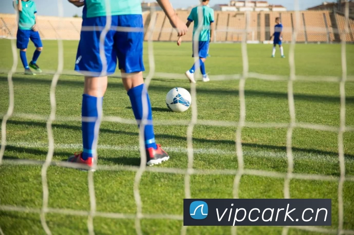 九游网页版·官方版在线入口 - 九游(中国)平台生态图